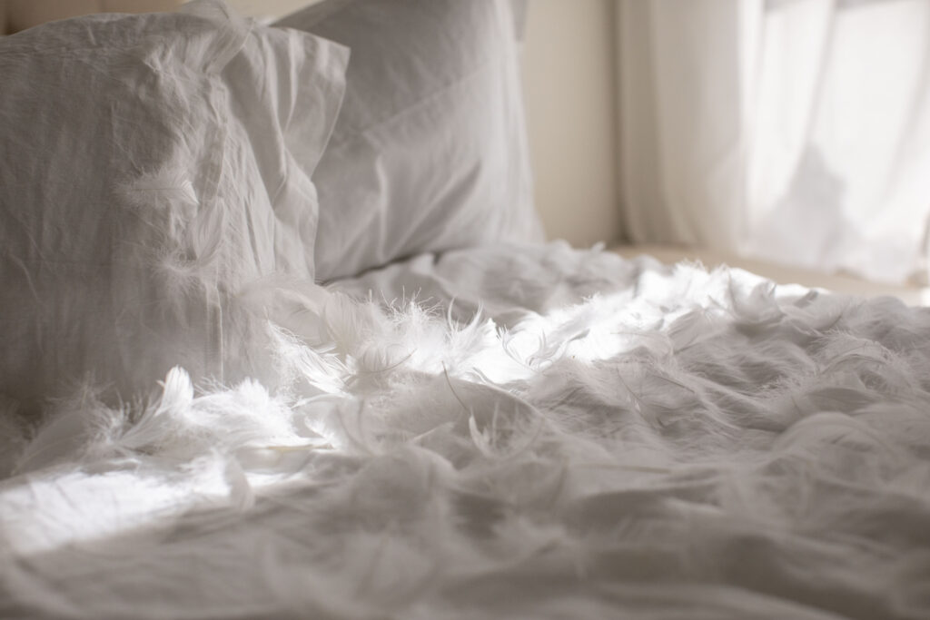Bed Jumping & Feathers